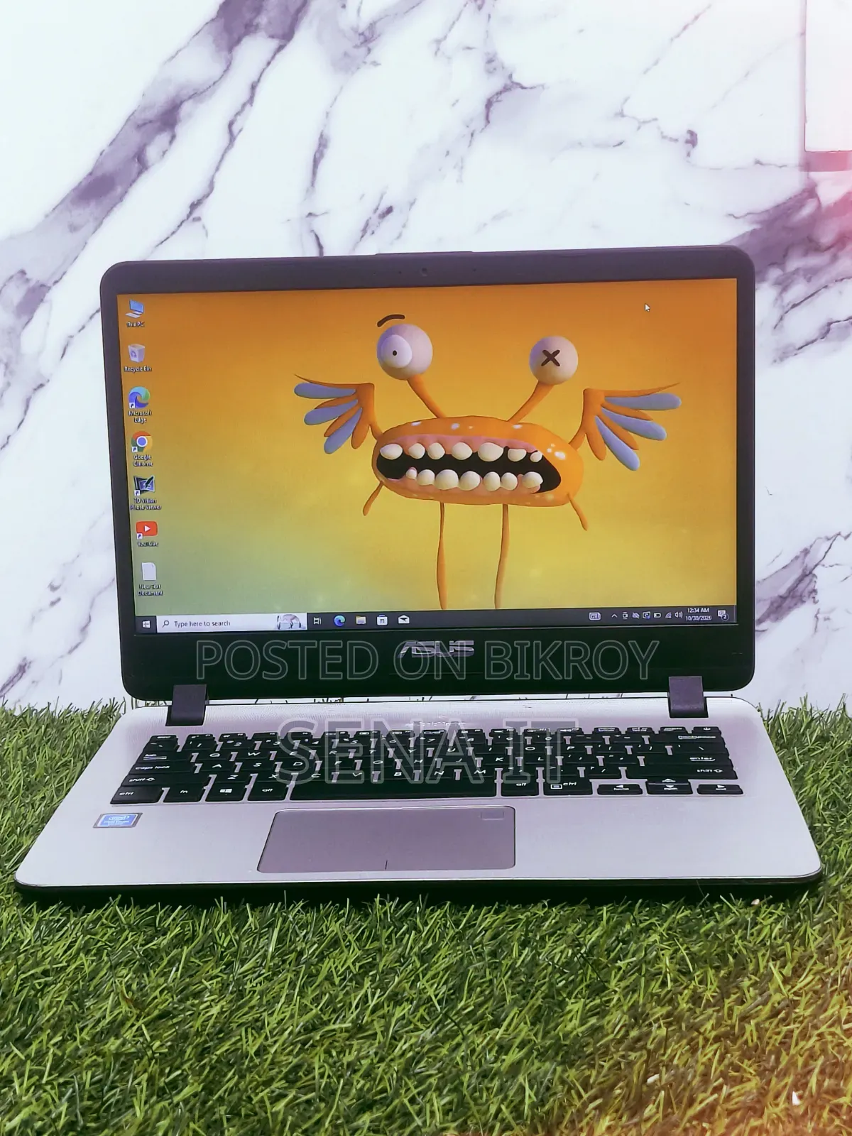Laptop Asus Vivobook 14 4GB Intel Pentium SSD 160GB