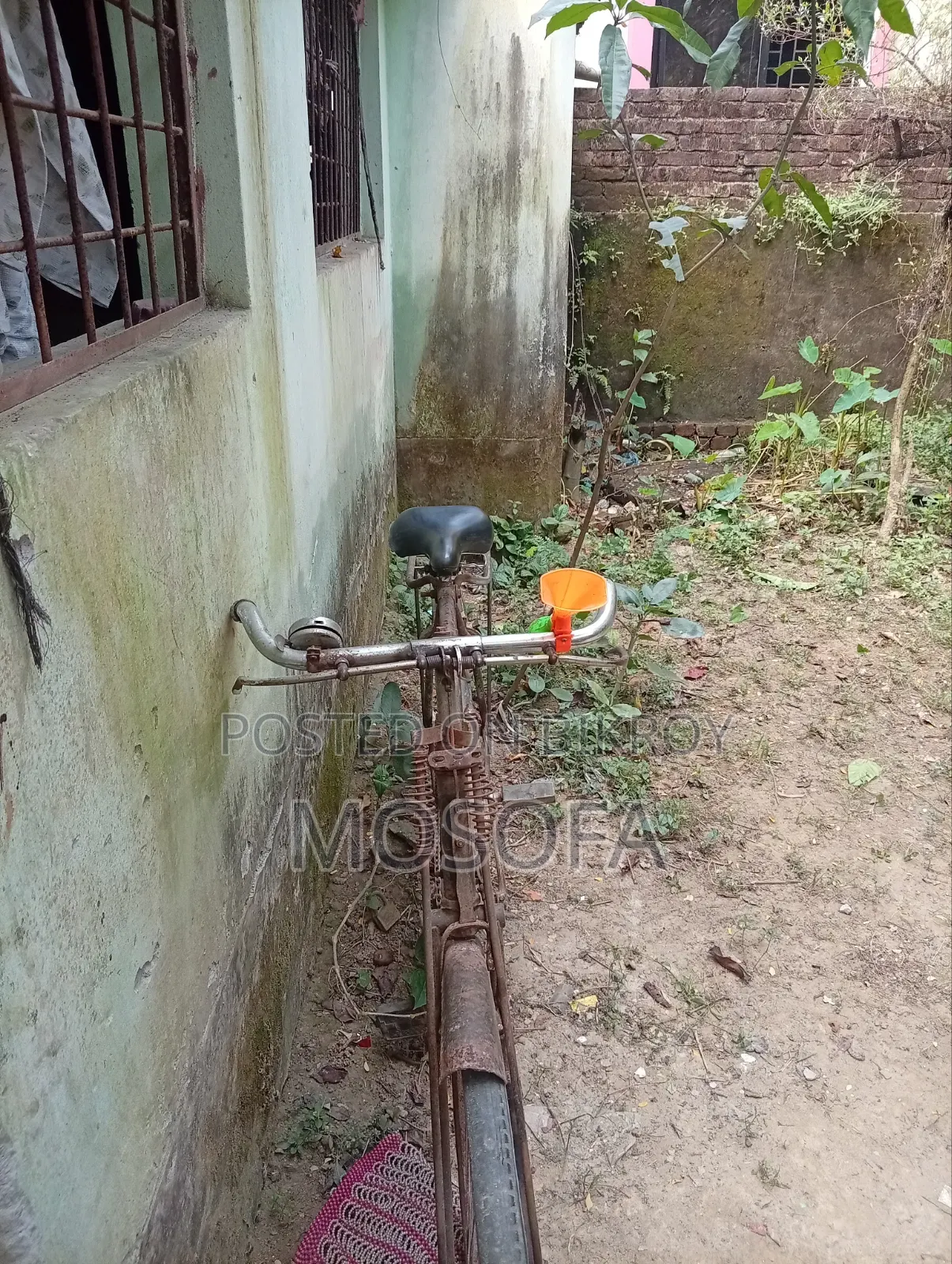 সাইকেল ফনিক্স