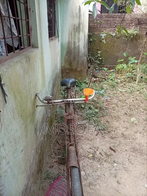 সাইকেল ফনিক্স