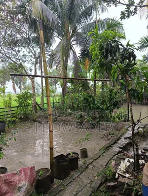 বরিশাল কাশিপুর জমি বিক্রয়