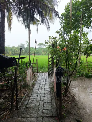 বরিশাল কাশিপুর জমি বিক্রয়
