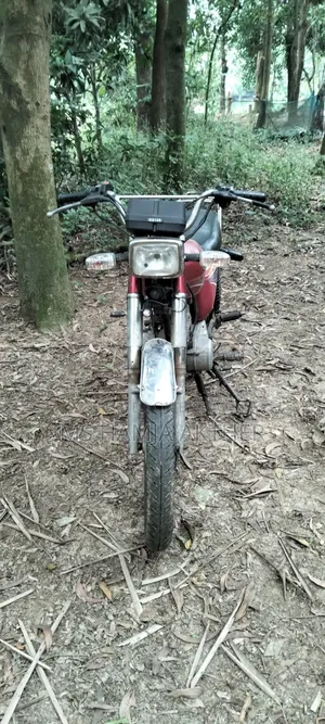 Honda Hornet 2012 Red