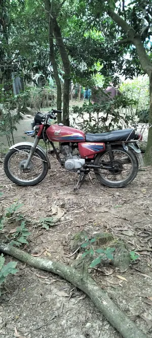 Honda Hornet 2012 Red