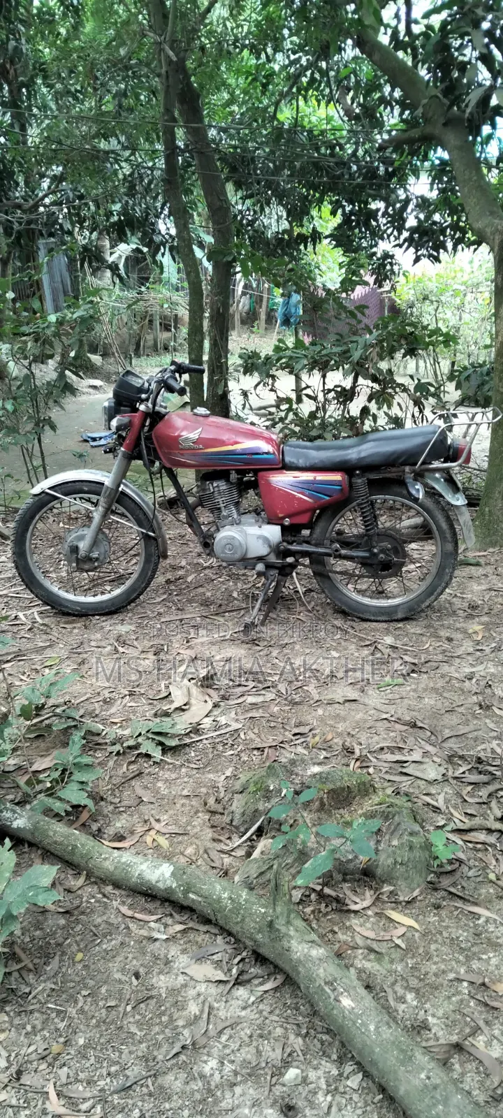 Honda Hornet 2012 Red