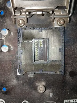 Gigabyte Motherboard H81