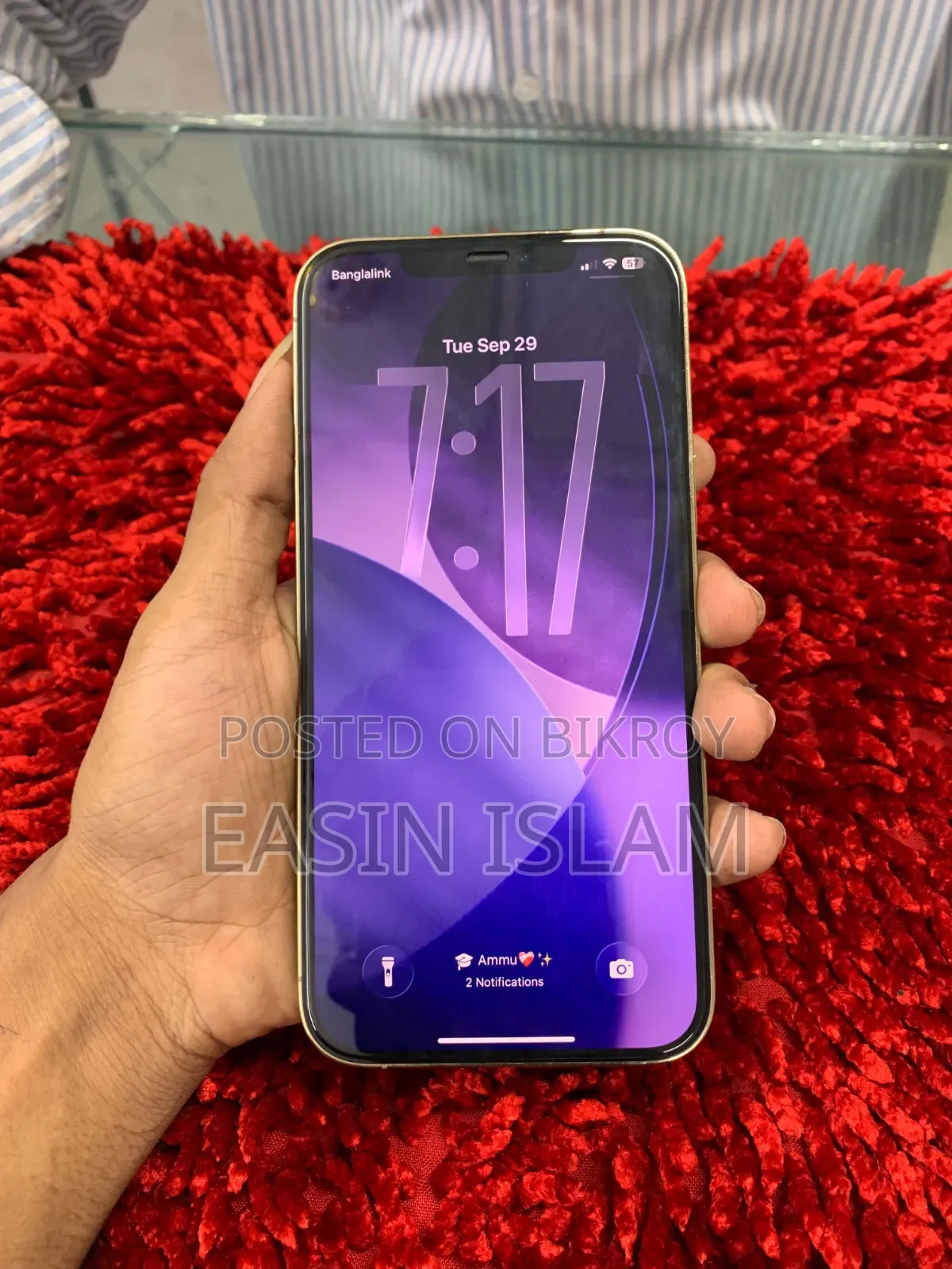 Apple iPhone 12 Pro Max 256 GB Gold