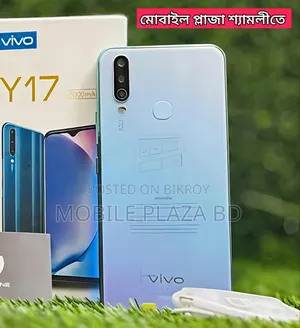New Vivo Y17 256 GB Bronze