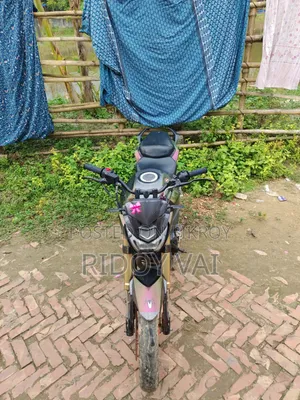Runner Bolt 165R 2022 Black