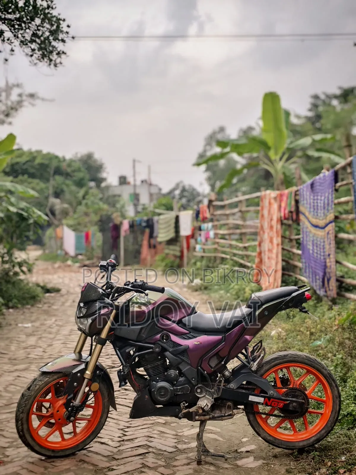 Runner Bolt 165R 2022 Black
