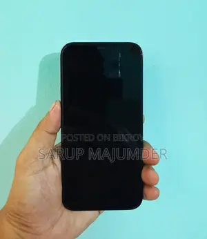 অ্যাপল আইফোন ১২ প্রো ম্যাক্স ১২৮ জিবি ব্লু