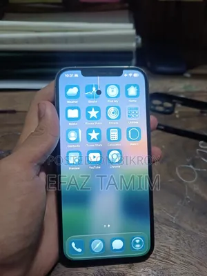 অ্যাপল আইফোন ১২ প্রো ম্যাক্স ২৫৬ জিবি গ্রে