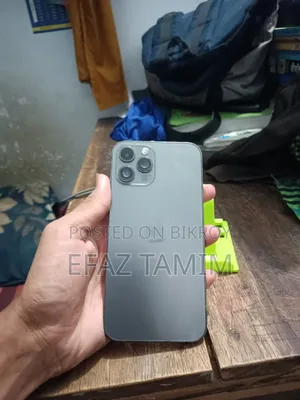 অ্যাপল আইফোন ১২ প্রো ম্যাক্স ২৫৬ জিবি গ্রে