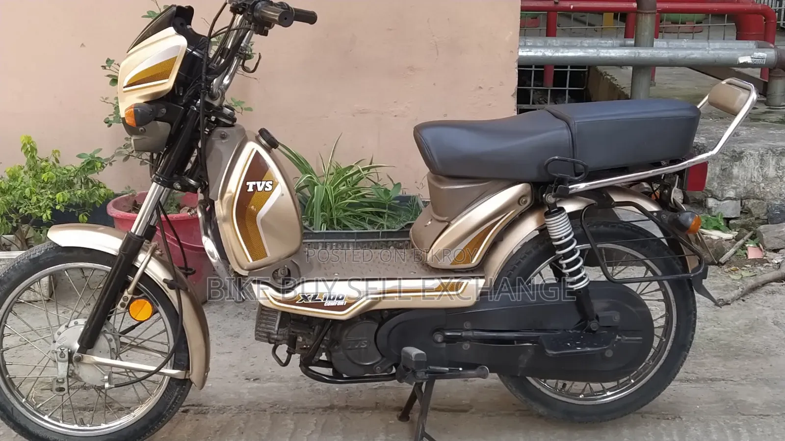 TVS XL 100 Comfort 2022 Purple