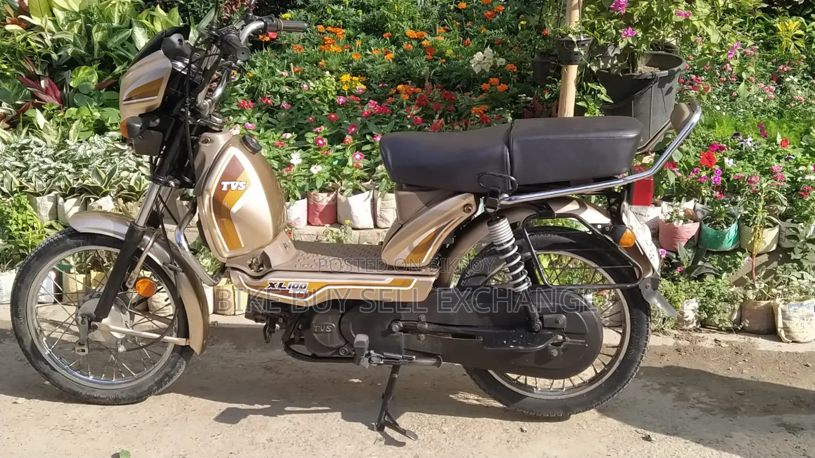 TVS XL 100 Comfort 2022 Purple