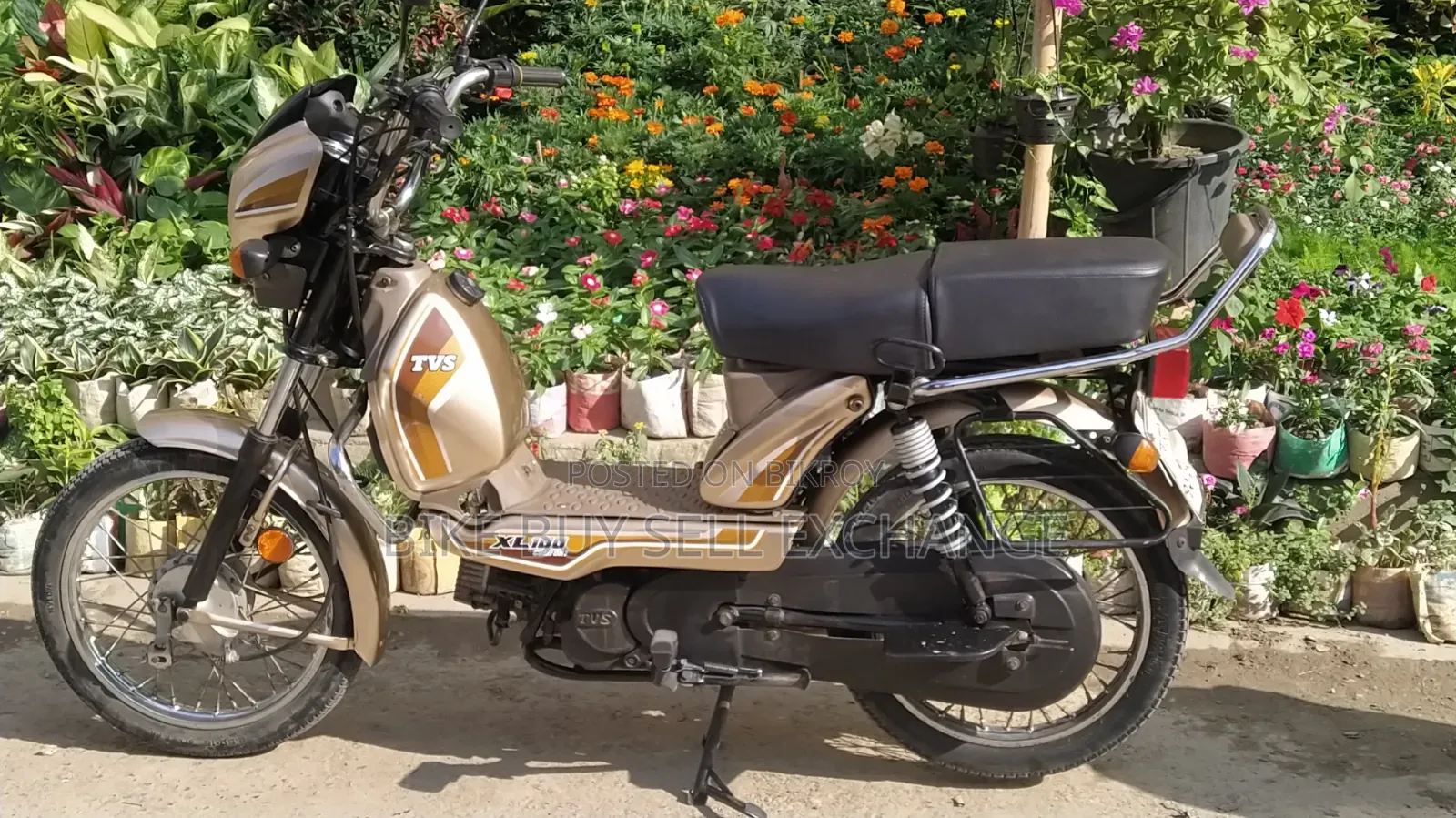 TVS XL 100 Comfort 2022 Purple