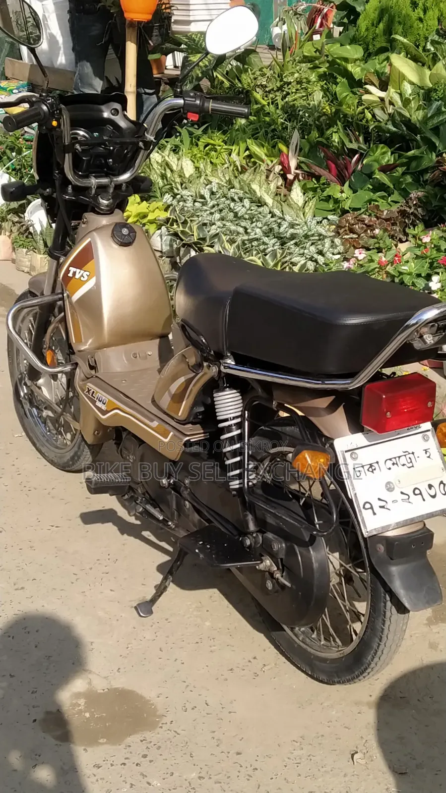 TVS XL 100 Comfort 2022 Purple