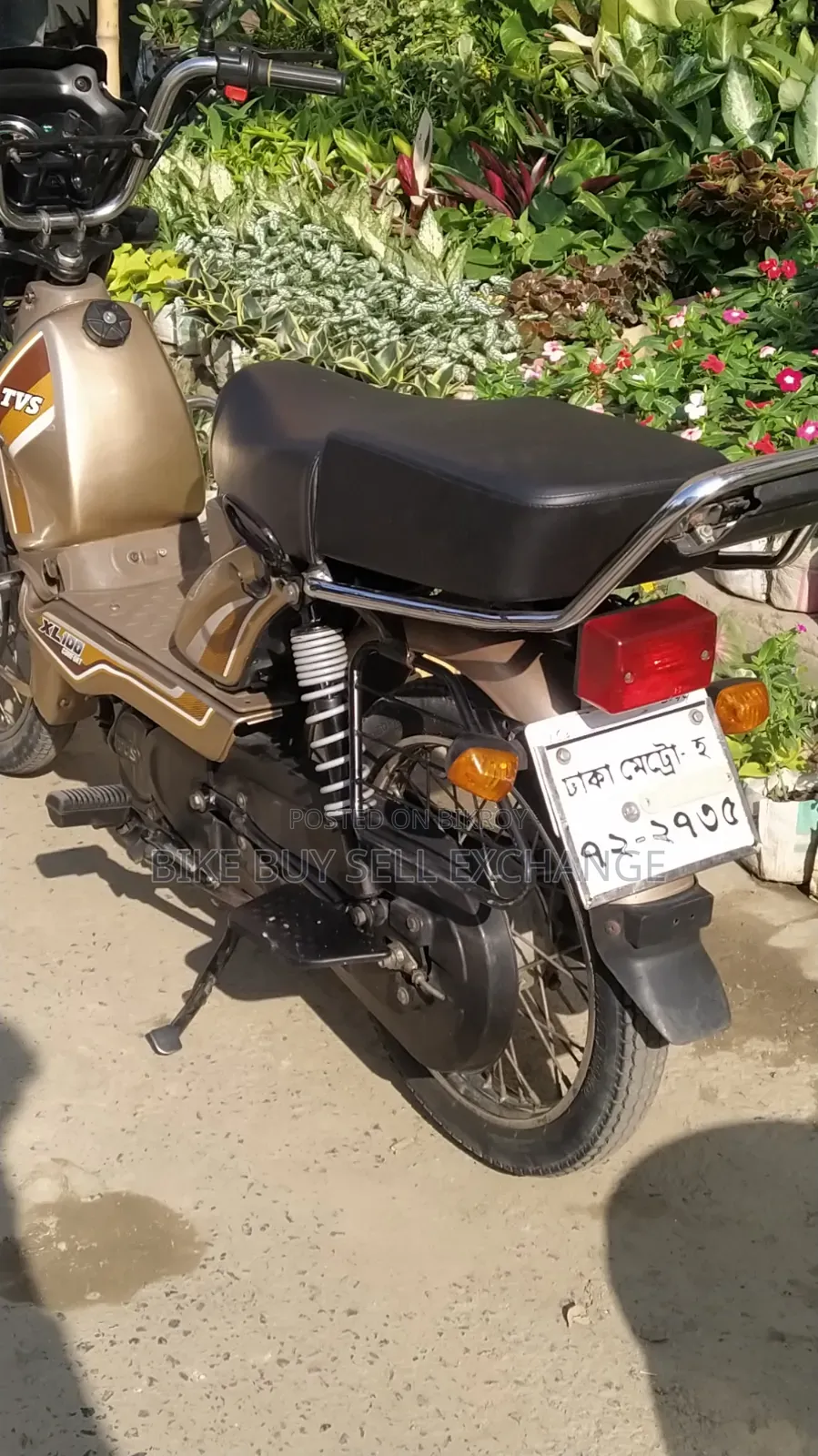 TVS XL 100 Comfort 2022 Purple