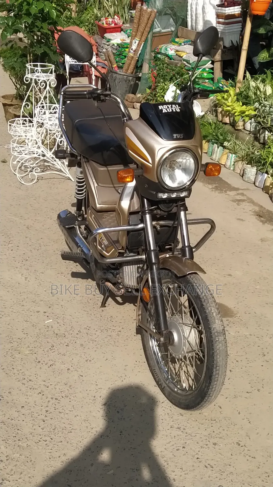 TVS XL 100 Comfort 2022 Purple