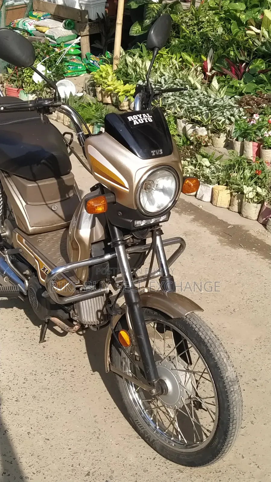 TVS XL 100 Comfort 2022 Purple