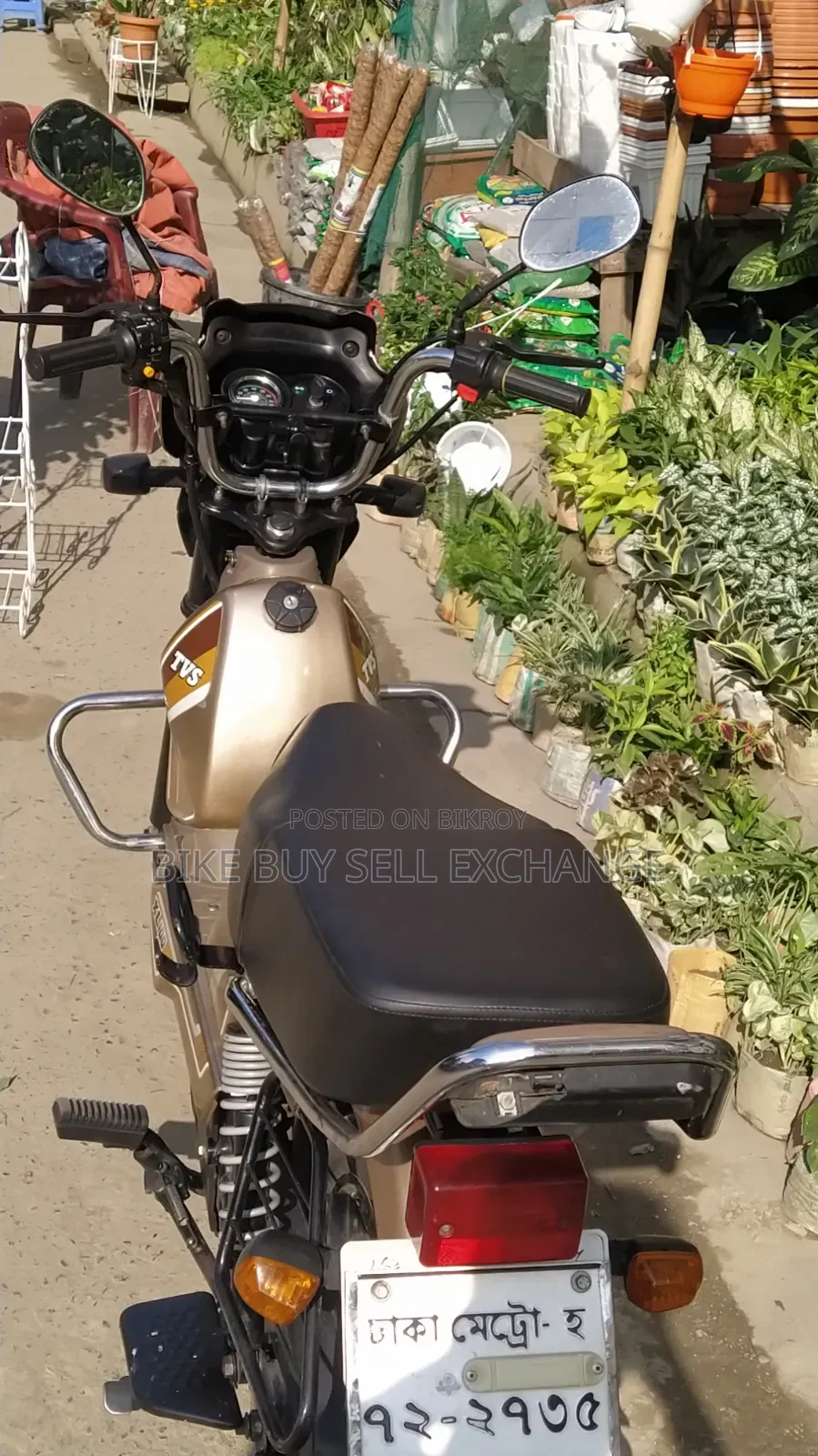 TVS XL 100 Comfort 2022 Purple