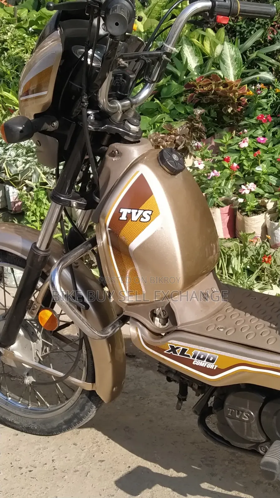 TVS XL 100 Comfort 2022 Purple