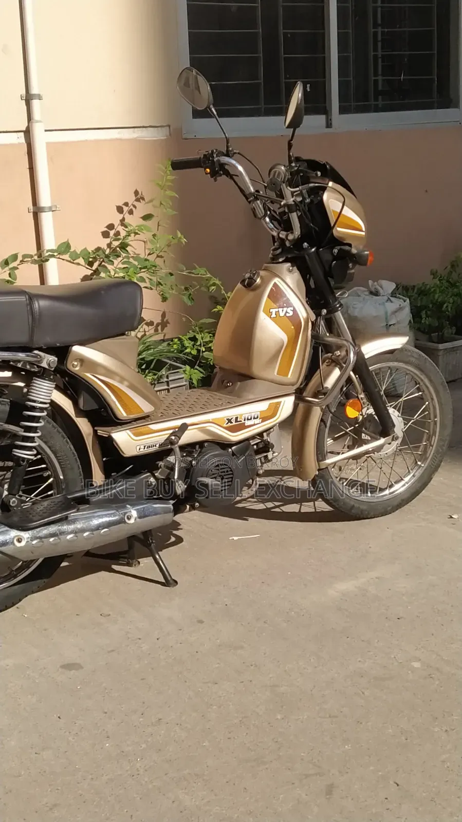 TVS XL 100 Comfort 2022 Purple