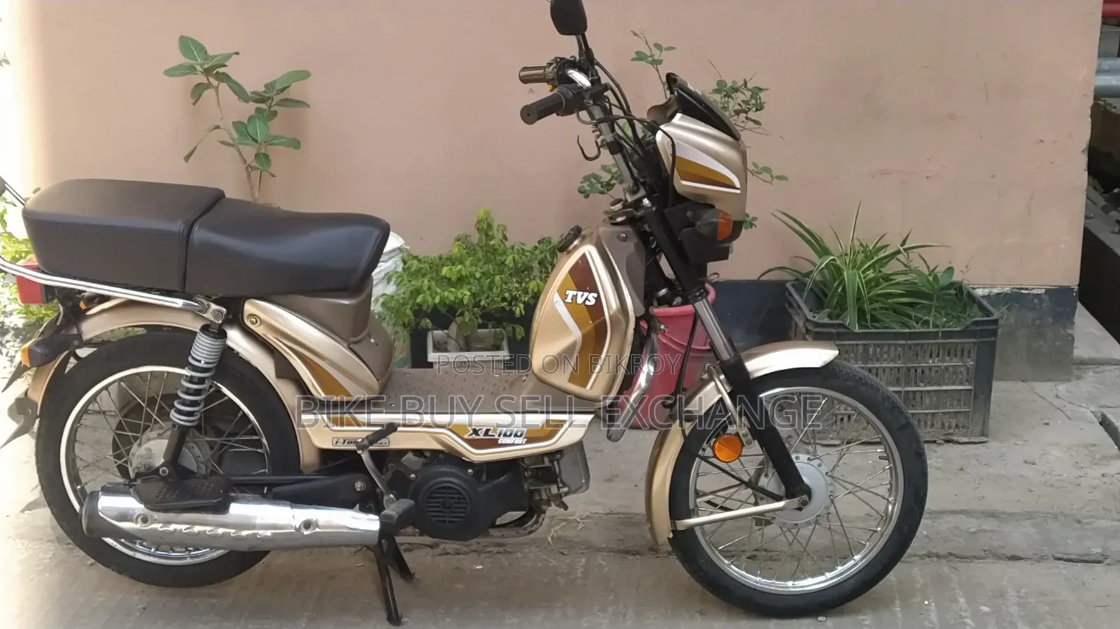 TVS XL 100 Comfort 2022 Purple