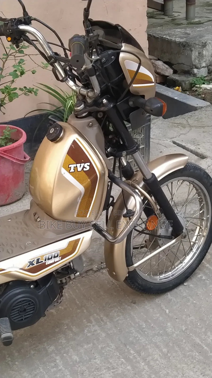 TVS XL 100 Comfort 2022 Purple