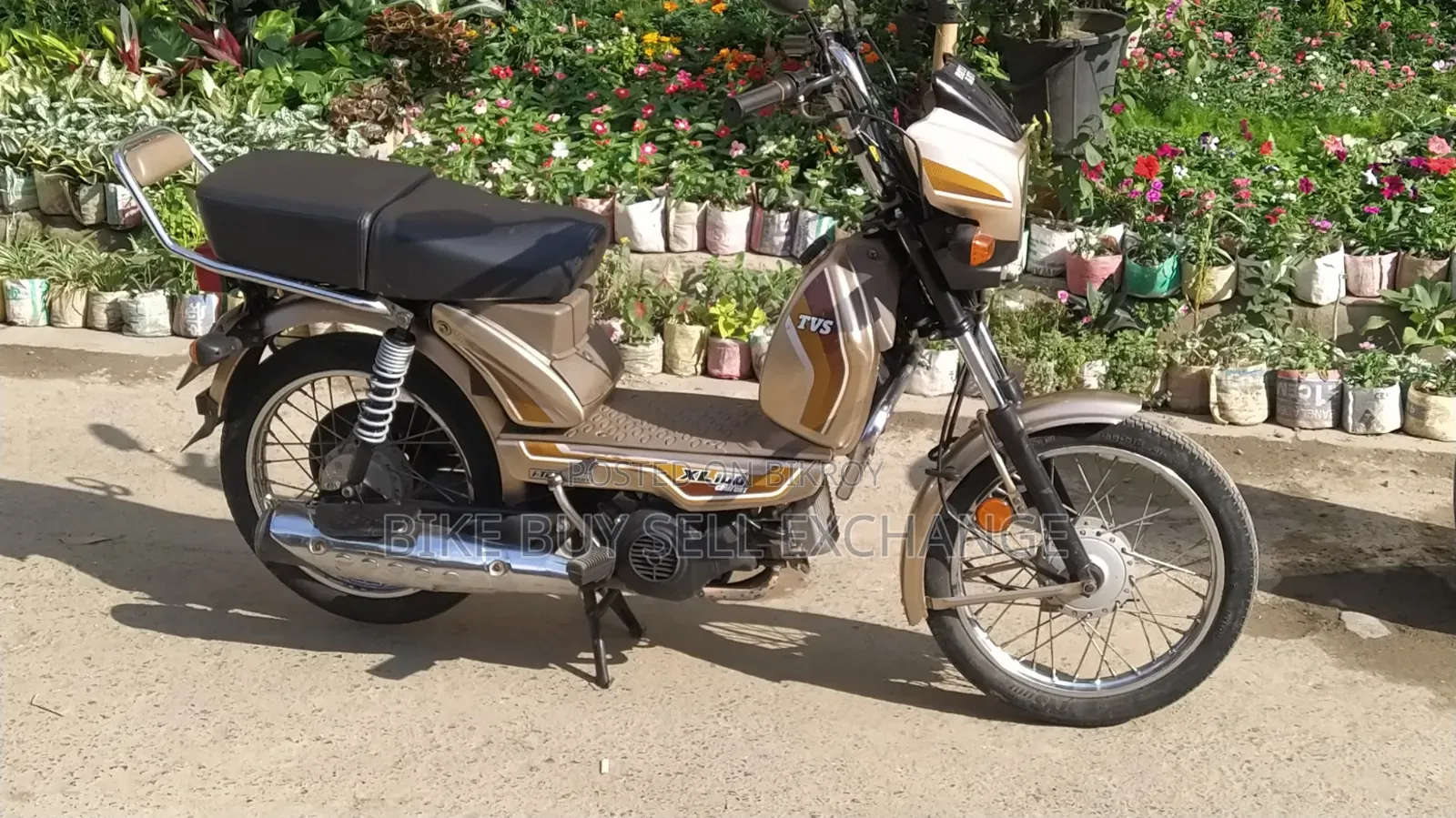 TVS XL 100 Comfort 2022 Purple