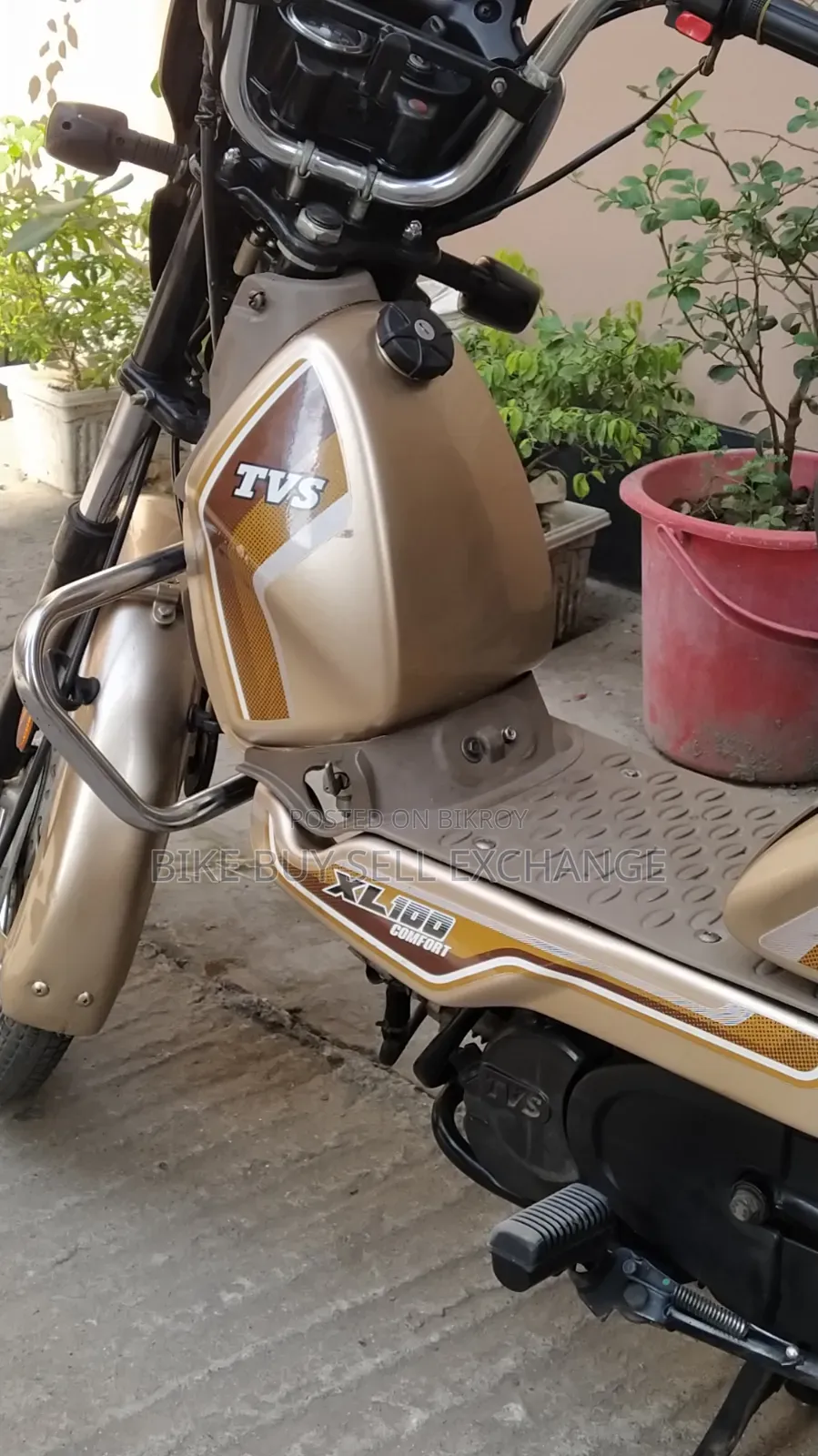 TVS XL 100 Comfort 2022 Purple