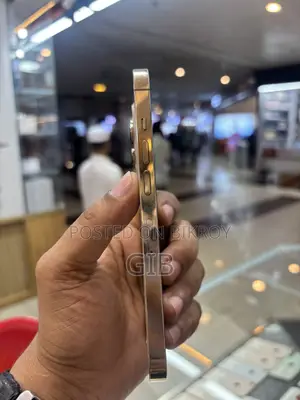 অ্যাপল আইফোন ১৩ প্রো ১২৮ জিবি গোল্ড