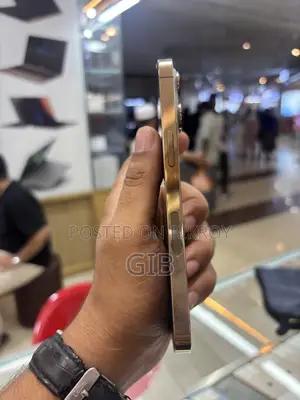 অ্যাপল আইফোন ১৩ প্রো ১২৮ জিবি গোল্ড