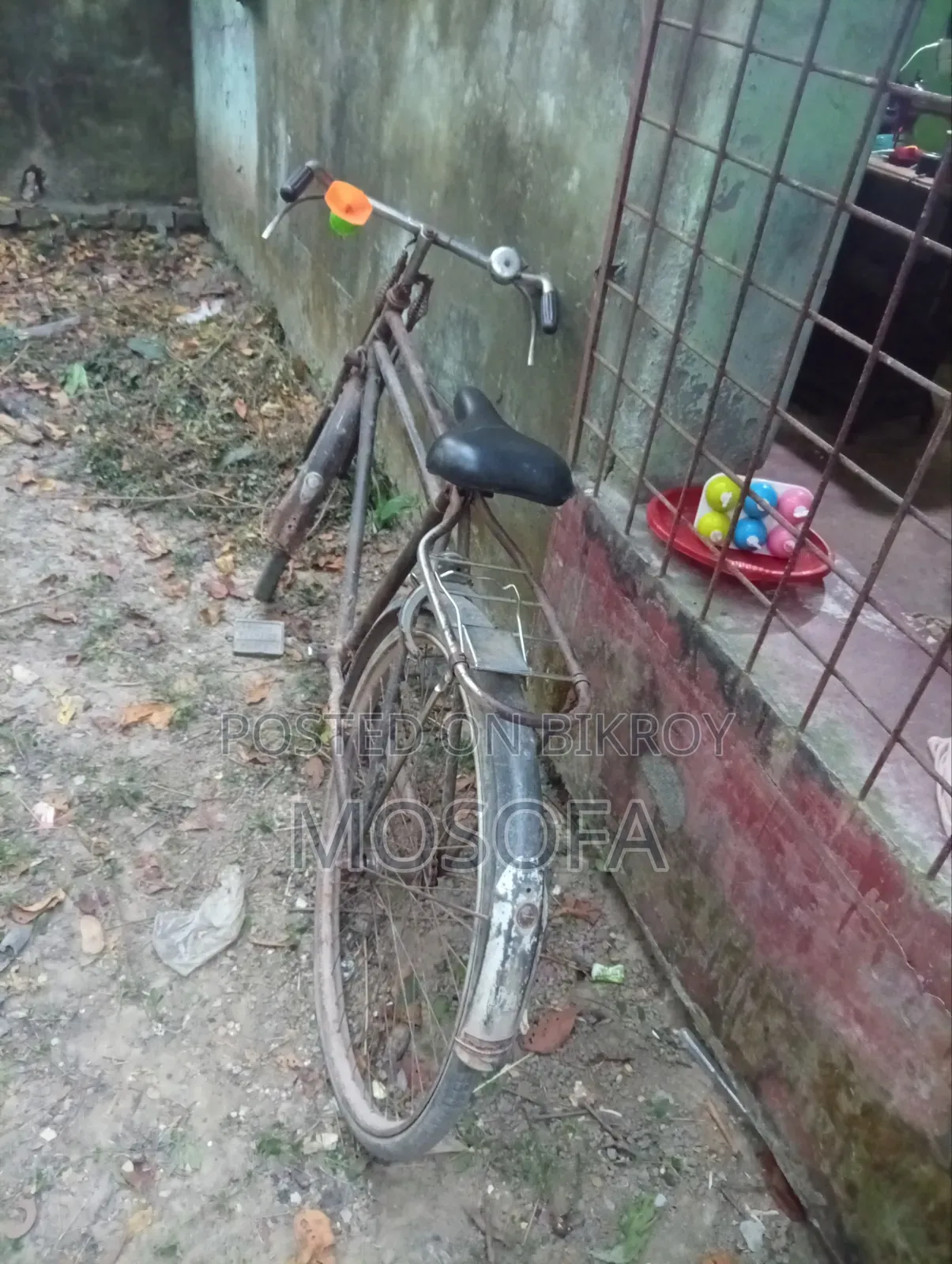 সাইকেল ফনিক্স