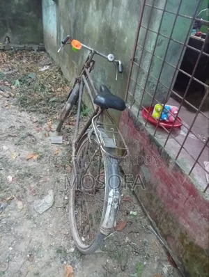 সাইকেল ফনিক্স