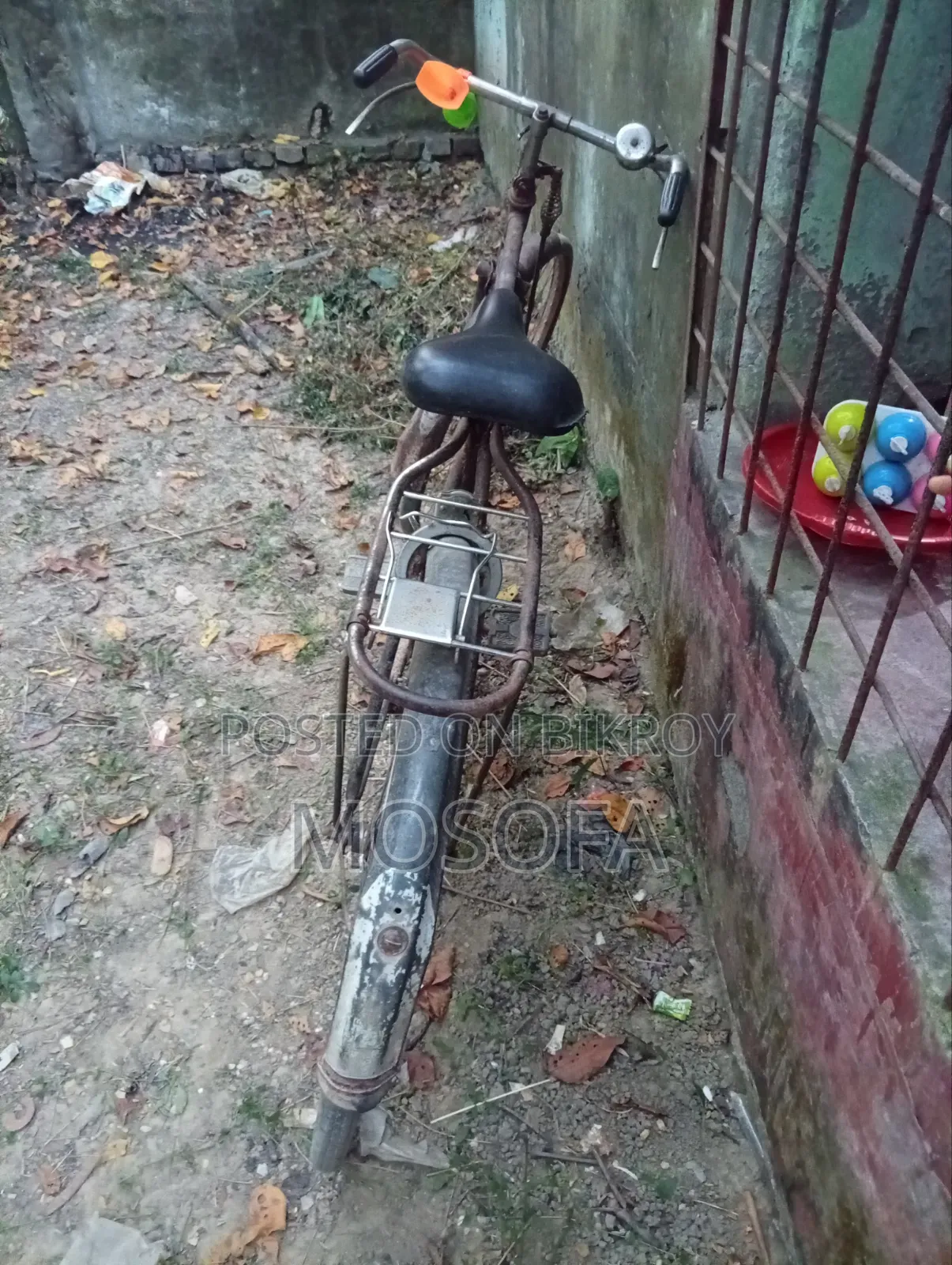 সাইকেল ফনিক্স