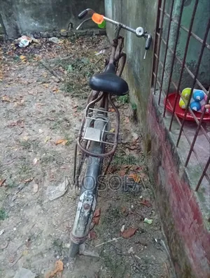 সাইকেল ফনিক্স