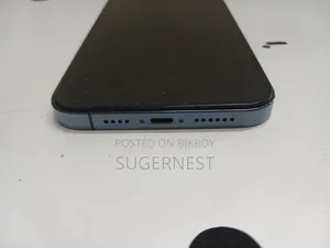 অ্যাপল আইফোন ১২ প্রো ম্যাক্স ২৫৬ জিবি ব্লু