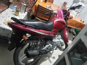 দায়াং ডিওয়াই১০০-এ ২০২০ রেড