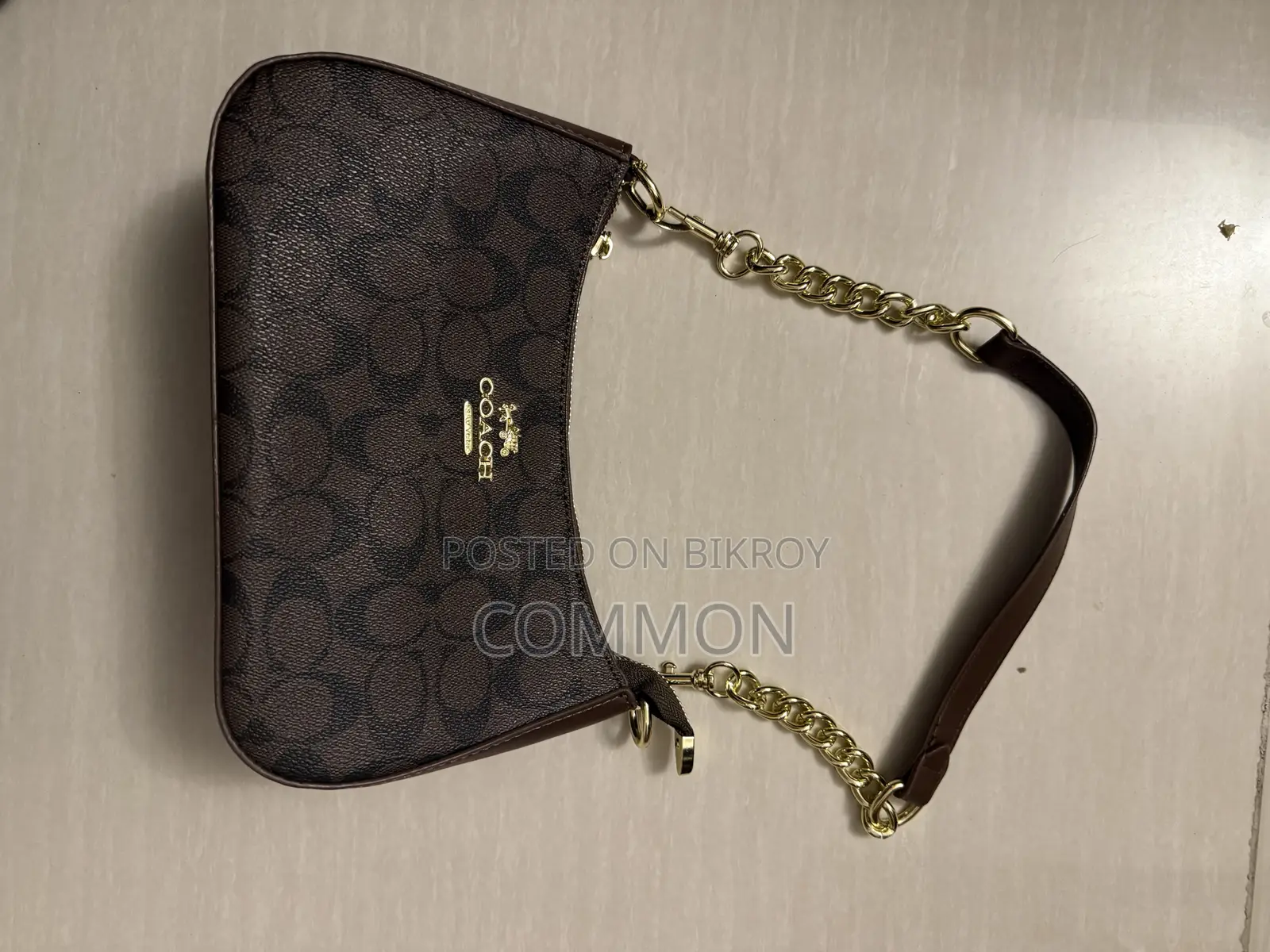 Coach Bag in Brown
