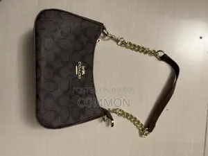 Coach Bag in Brown
