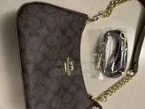 Coach Bag in Brown