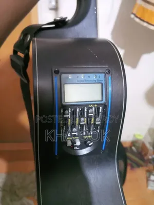 ডিভাইসার এলএস বিকে মিনি ট্রাভেল গিটার