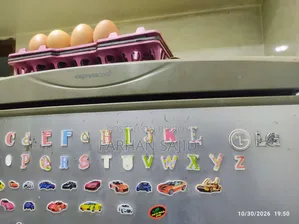 LG Expresskool Fridge