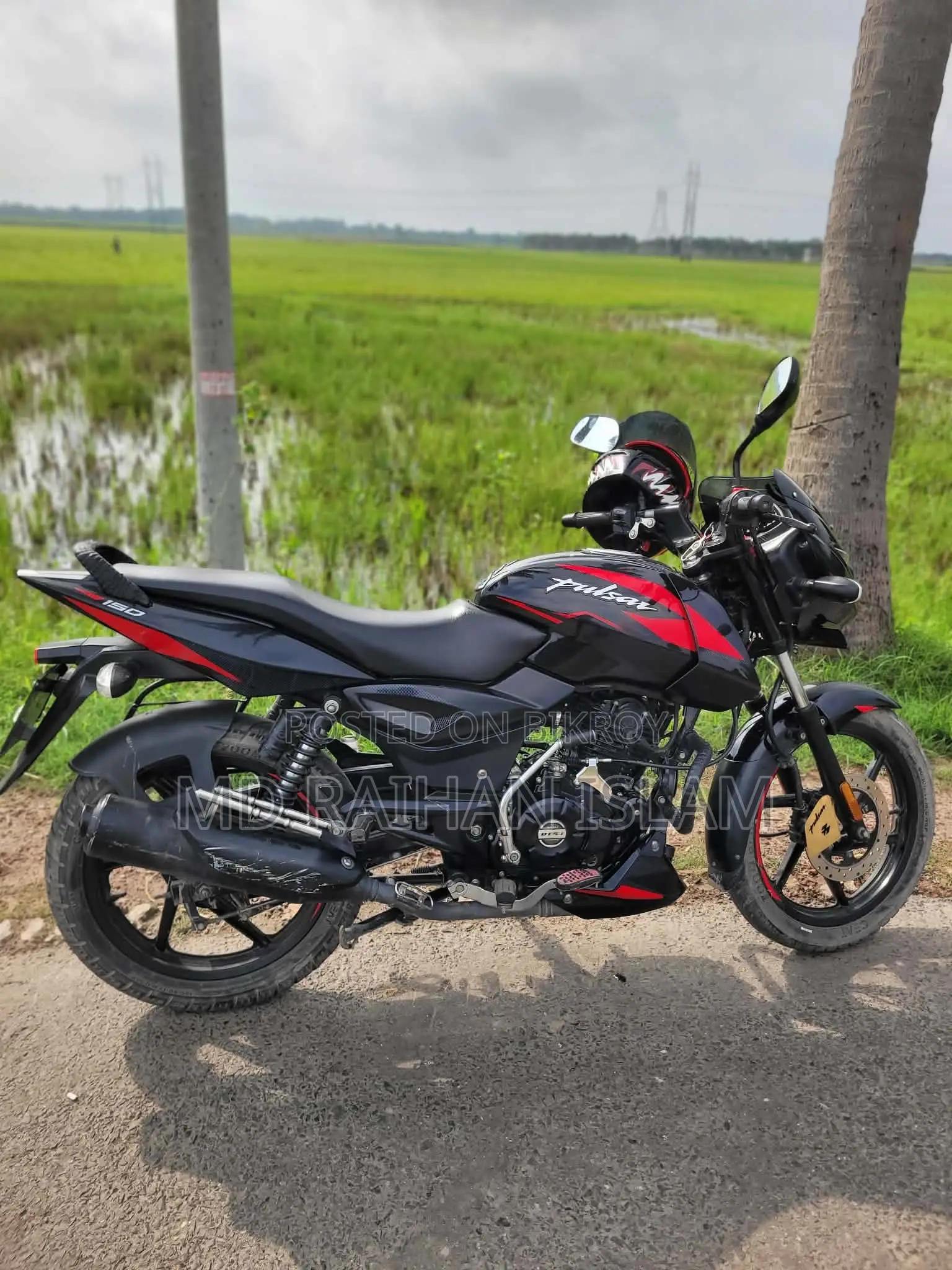 বাজাজ পালসার ১৫০ ২০২৪ কালো