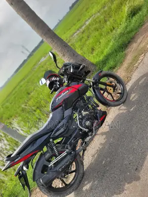 বাজাজ পালসার ১৫০ ২০২৪ কালো
