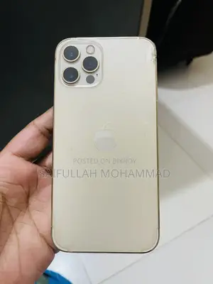 অ্যাপল আইফোন ১২ প্রো ১২৮ জিবি রোজ গোল্ড