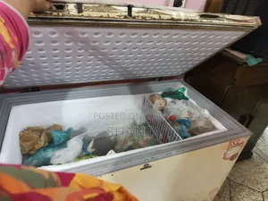 ওয়ালটন ডিপ ফ্রিজ