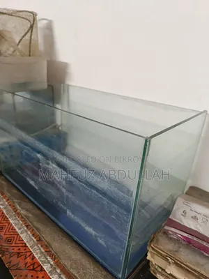 Aquarium 9/18