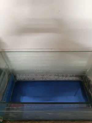 Aquarium 9/18