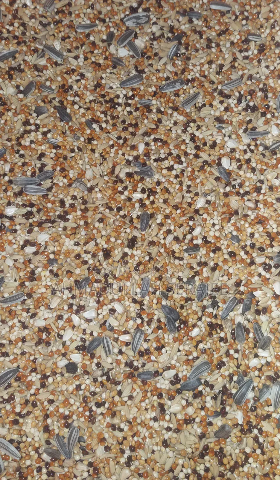 Seed Mix (Premium Quality)